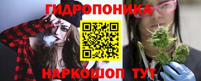 ешки Бийск