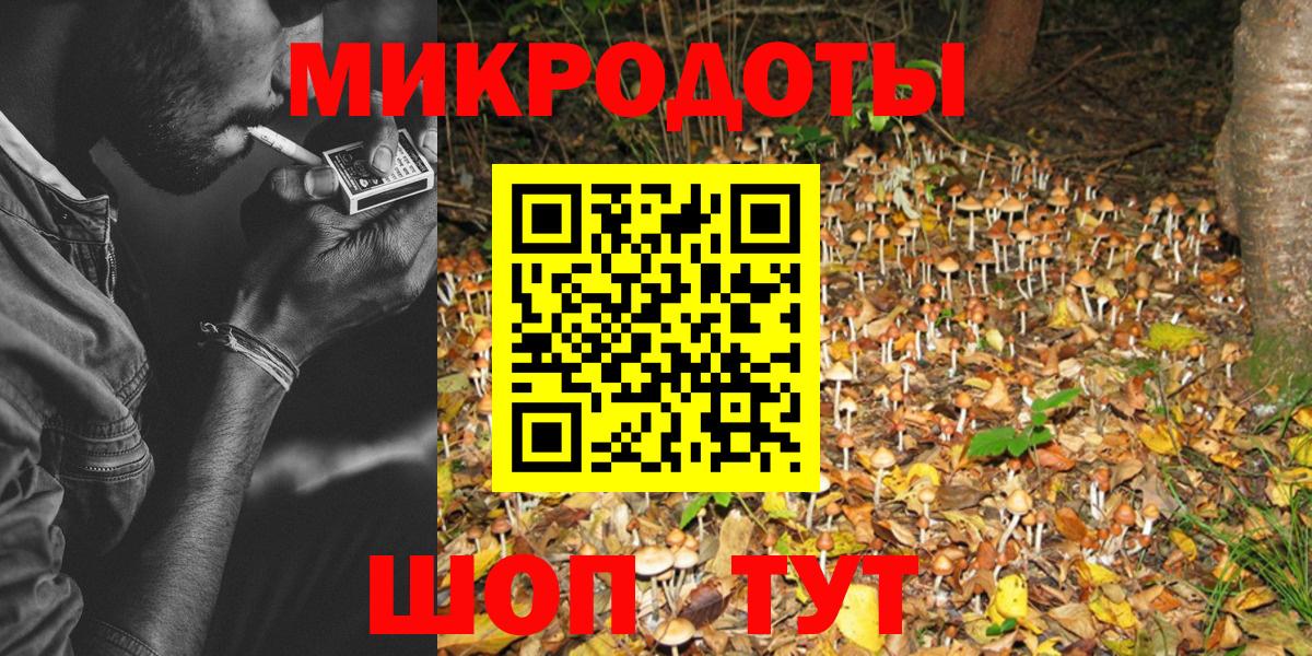 Галлюциногенные грибы Psilocybe Бугульма