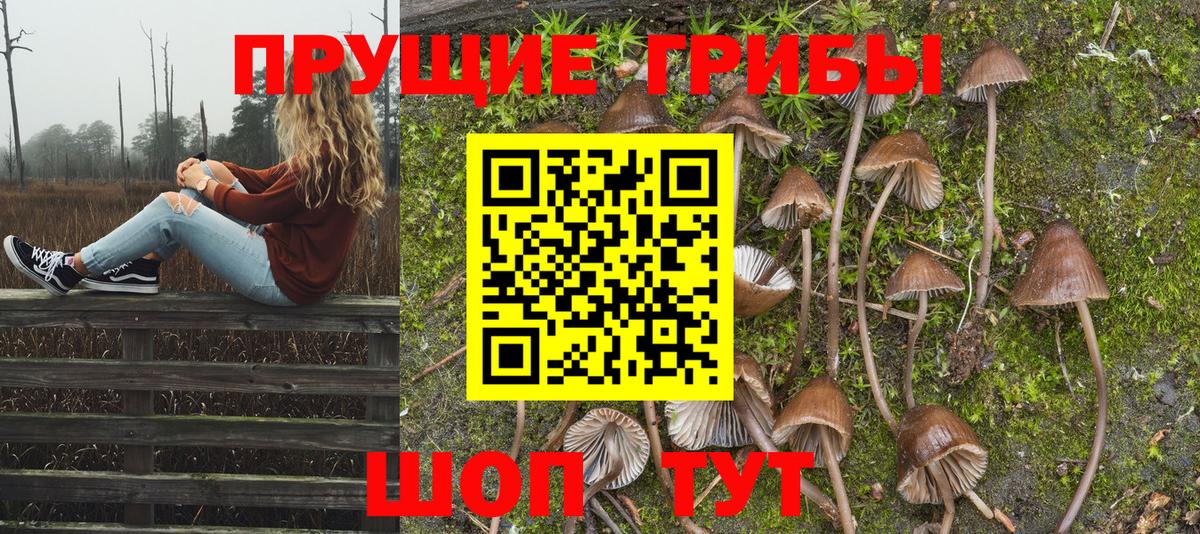 купить наркотик  Галлюциногенные грибы Magic Shrooms  Вход с VPN  Бугульма 